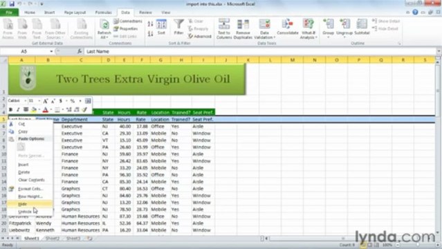 0801 Importing and exporting data in Excel