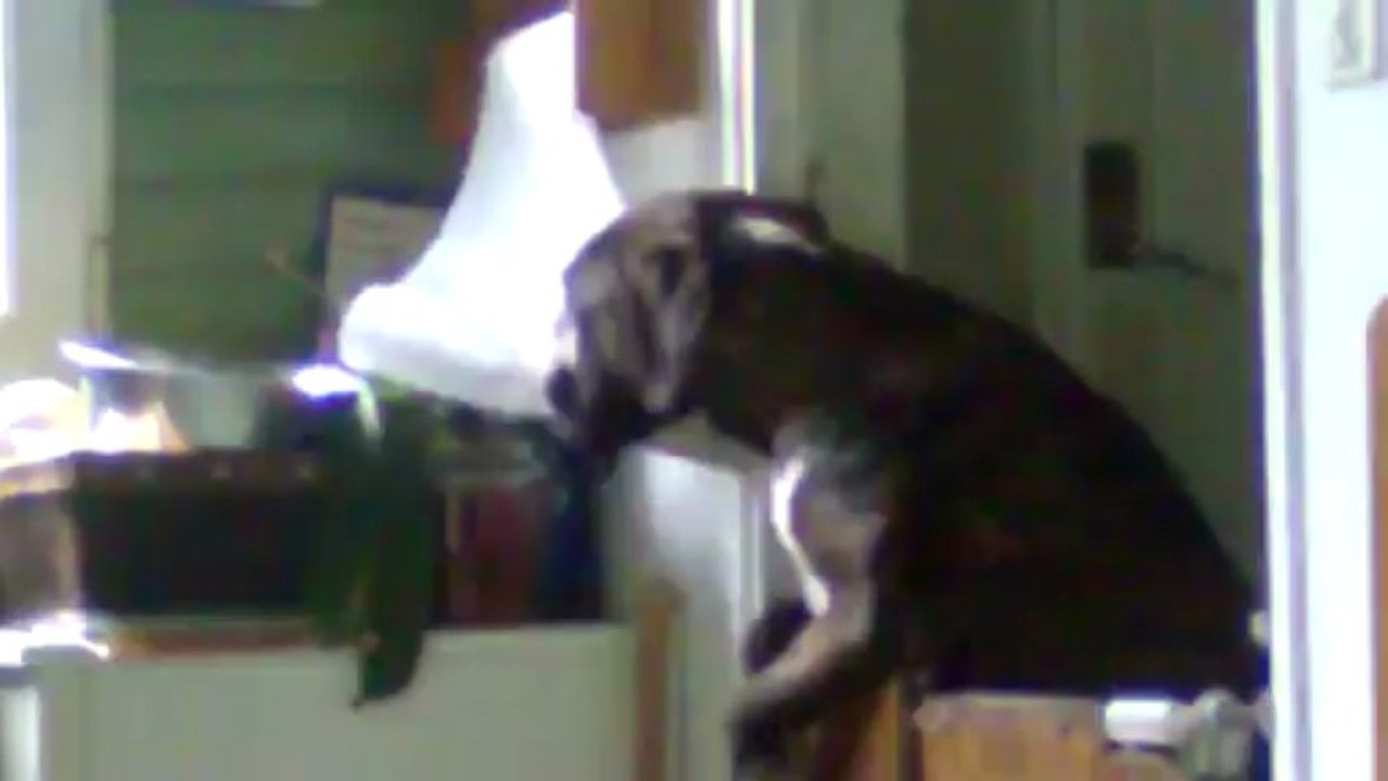 Império della andasi le délicat