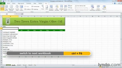 0706 Managing worksheets