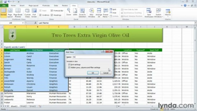 0704 Creating multiple custom worksheet views