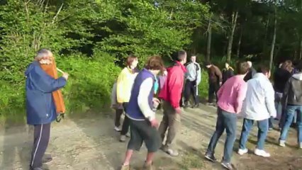 Feux de la St Jean 2013 à Gotein Libarrenx