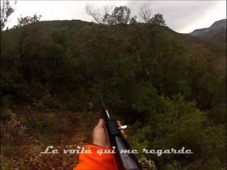 Chasse au sanglier dans l'Hérault. Causse.