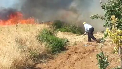 Yalıhüyük'te 15 Dekar buğday tarlası kül oldu