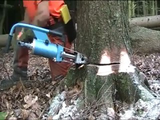 Hidrolik kriko ile ağaç kesimi