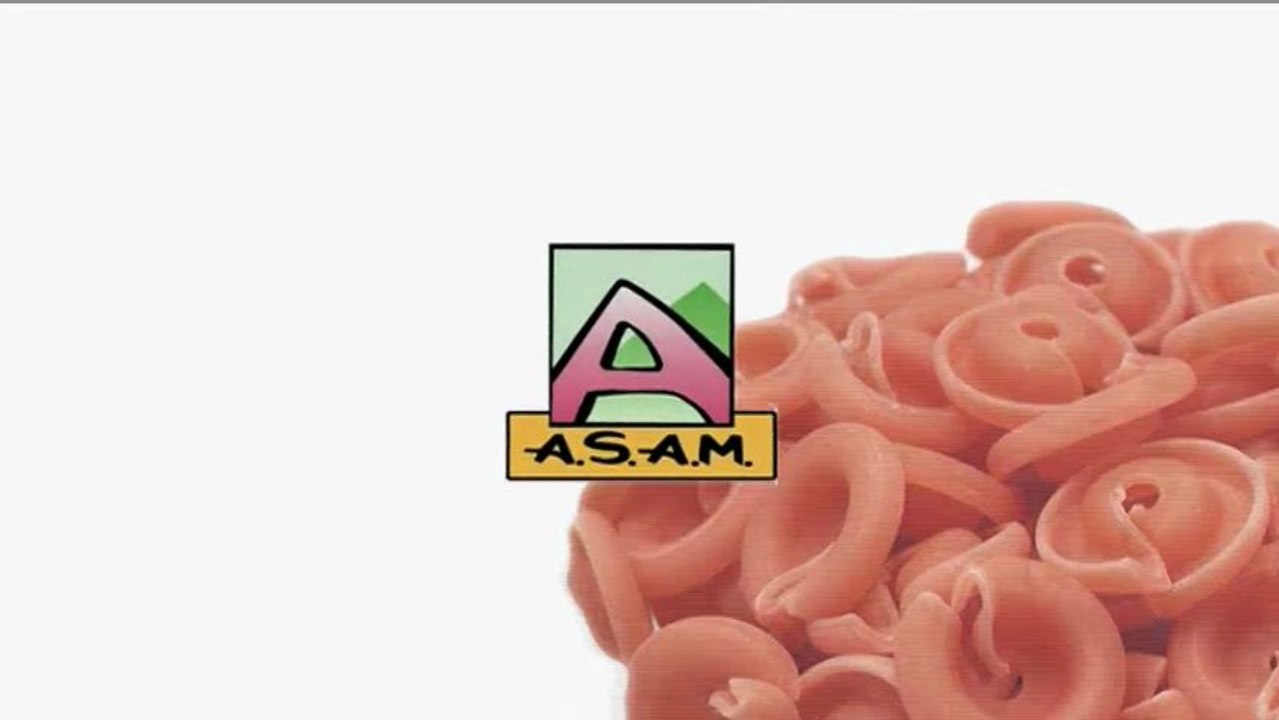 EL JARDIN DE LAS DELICIAS "Aldente Salamanca"