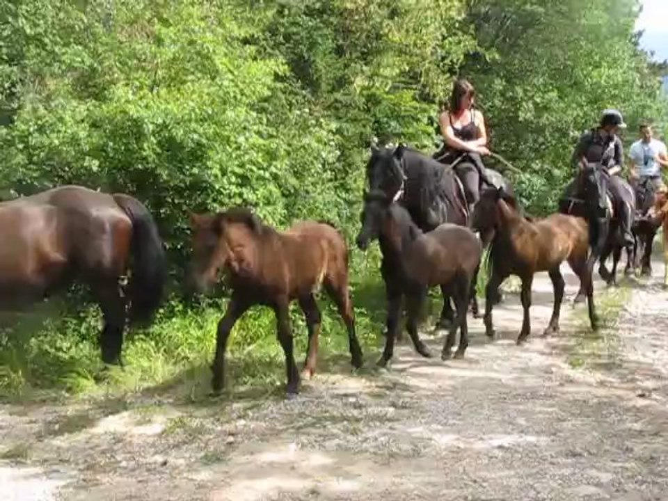 Vers le col de Menée...