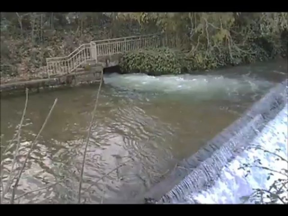 Le FURON Sassenage 2