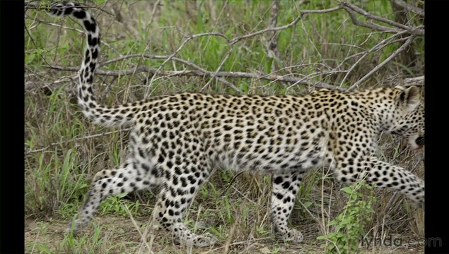 Foundations of Photography Black and White-03Shooting in Black and White-01What Is Black-01prepareCamera