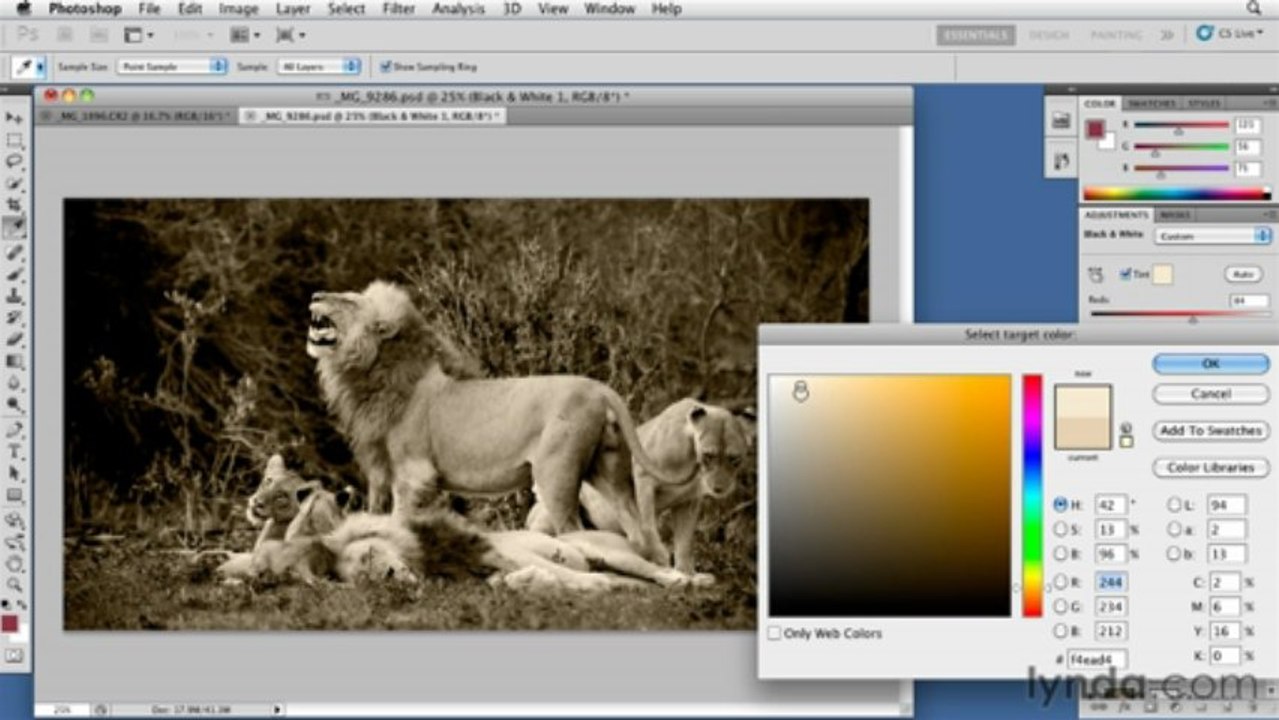 Foundations of Photography Black and White-04Black-and-White Post-Production-13toning