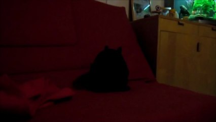 Bill relaxe et en délire sur le canapé