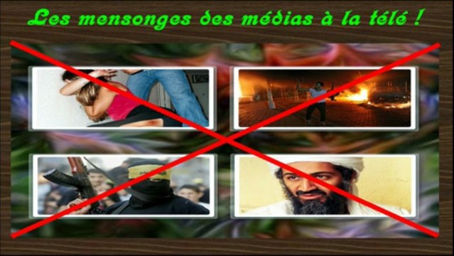 Les mensonges des médias à la télé (1/2)