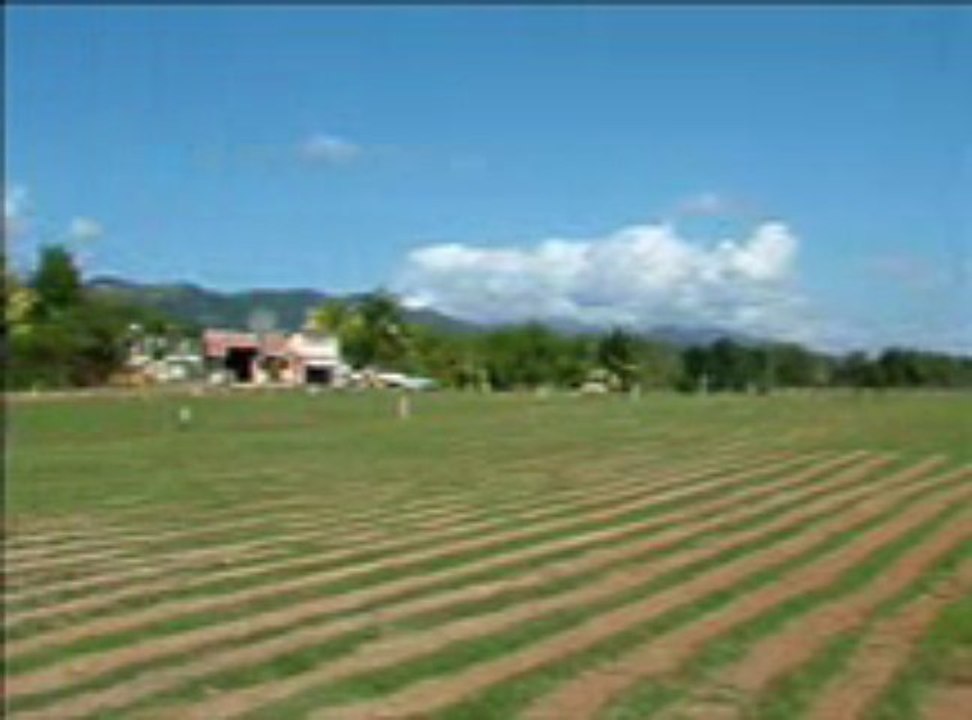 videogramasborinquen