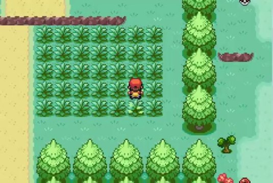 Hack Pokémon version Rouge Feu Oméga [2] Des nouveaux amis