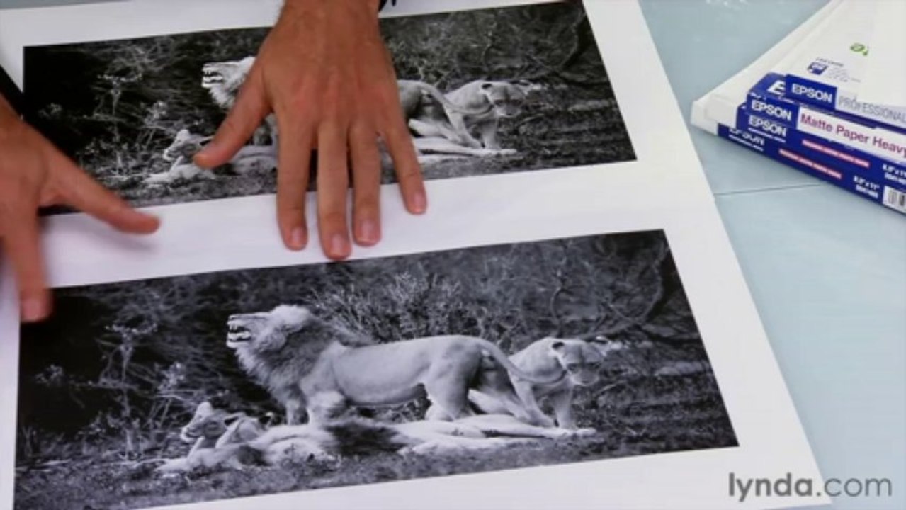 Foundations of Photography Black and White-05Printing in Black and White-04evaluatePrint