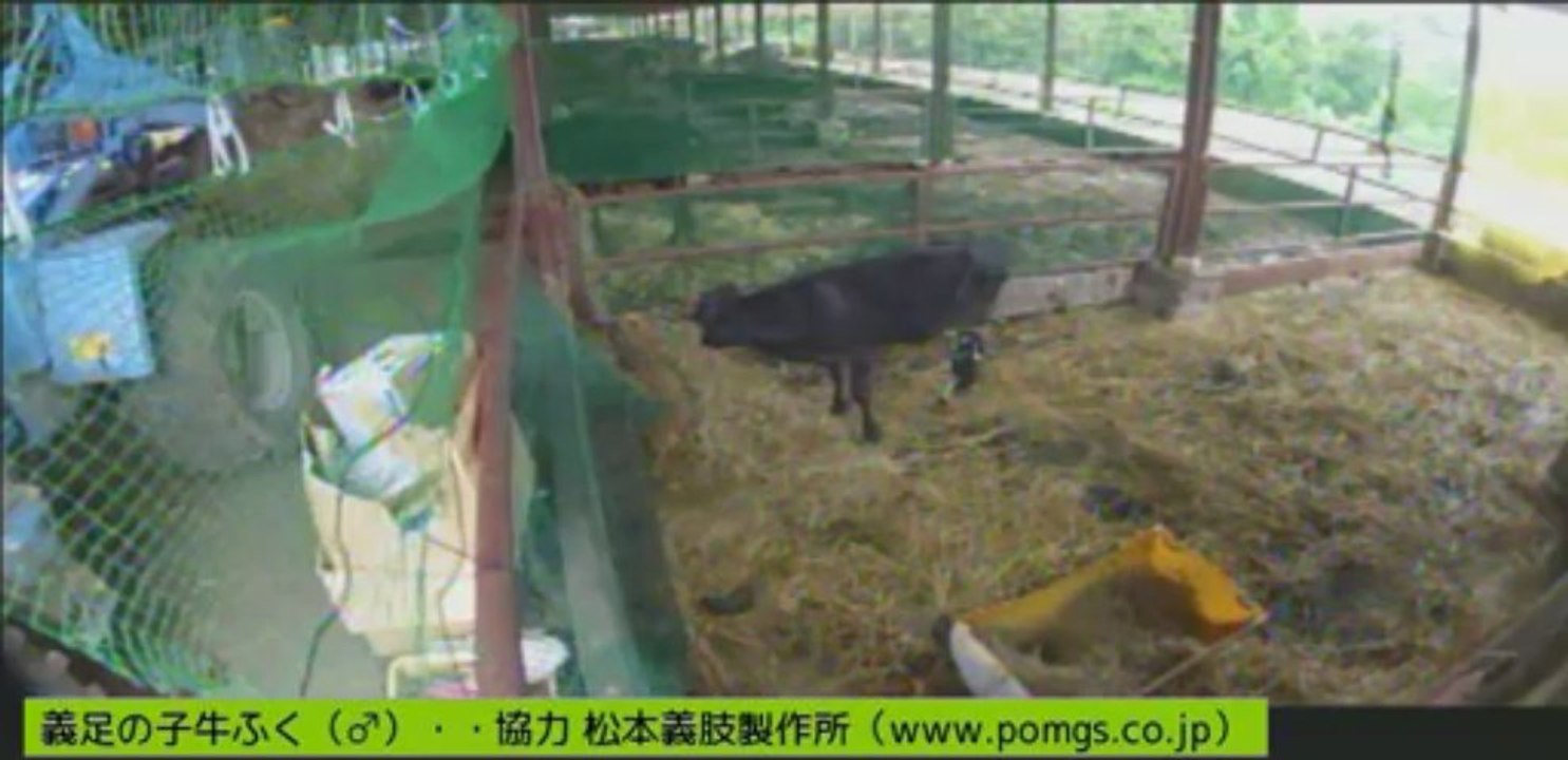 20130626  しずお姉さん　吉沢さん　ミリンダさん他見学者