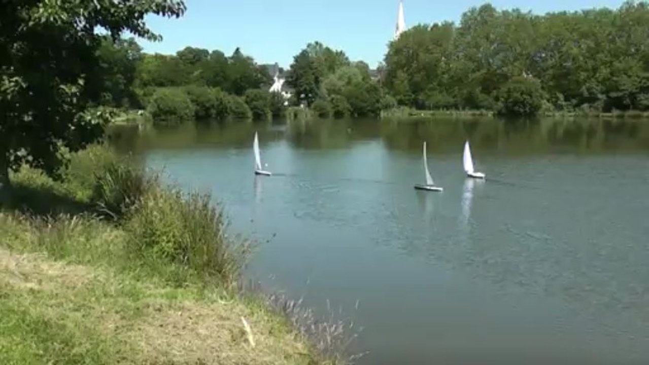 Voile RC 01