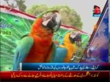 AbbTakk Headline 09 00 PM - 30 June 2013 (1)