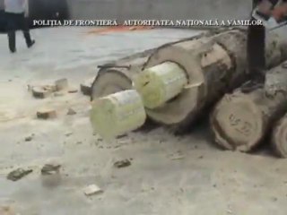 Contraband cigarettes hidden in a tree trunk!