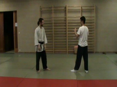 Gyaku hanmi mawashi tsuki : ushiro nage