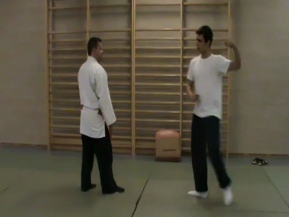 Gyaku hanmi yoko guruma uchi (shuto)