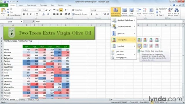 0404 Using conditional formatting