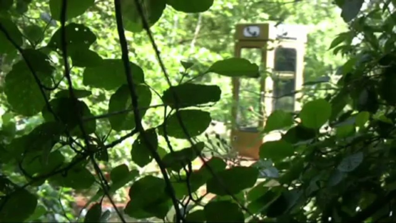 "Hydrophone", de l'agence  PIP Partnership Ltd, Hortillonnages Amiens 2013