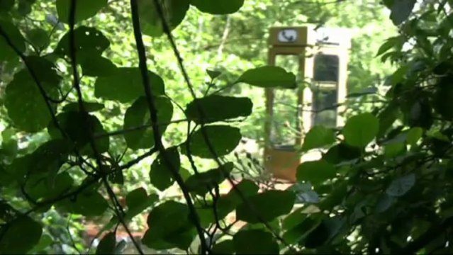 Hydrophone , de l'agence PIP Partnership Ltd, Hortillonnages Amiens 2013