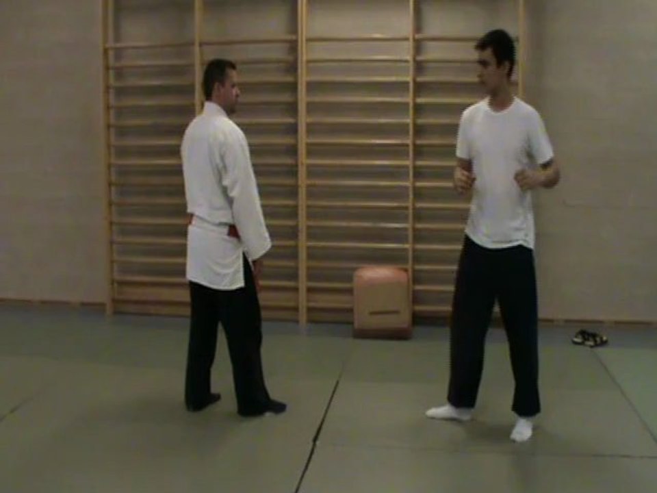 Gyaku hanmi gedan mawashi tsuki