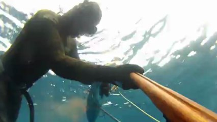 chasse sous marine en méditerranée aux pélagiques (Cressi sub)