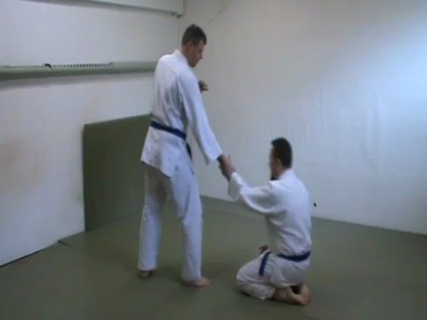 Hanmi hantachi gyaku hanmi katate dori kihon : shiho nage omote