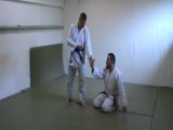 Hanmi hantachi gyaku hanmi katate dori kihon : shiho nage ura