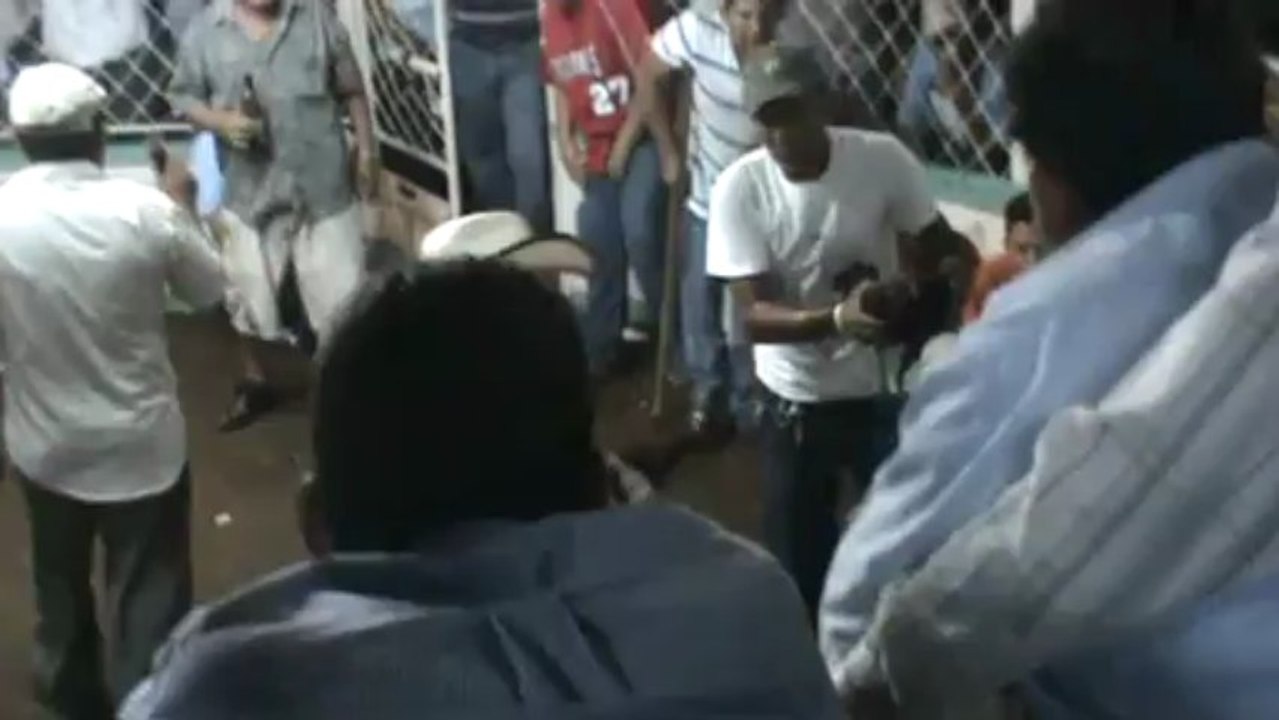 jovany video de gallos