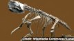 'Parrot Dinosaur' Learned to Walk on Two Legs Like Humans