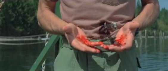 April Fool's Day (1986) Full Movie Part 1