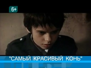 ЛФТ_07_06_WM_ARCHIVE_PAL