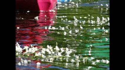 2013-06-30 canoé dans le chassezac aux vans vercors handisport