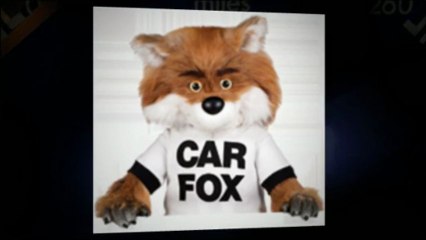 Carfax: What To Do To Search For Used Cars