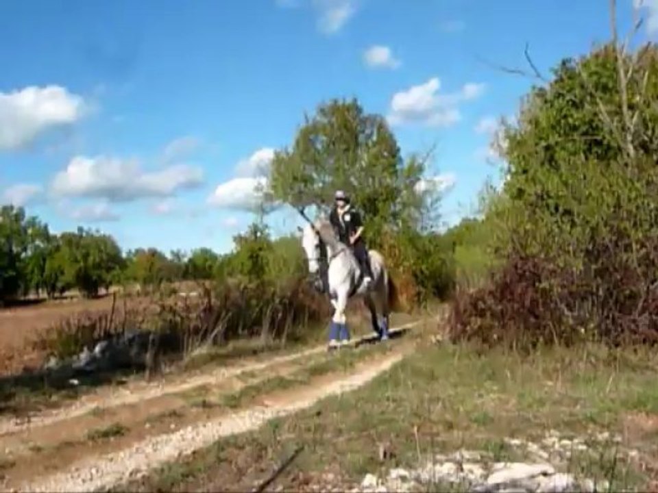 « Soyons extraordinaires ensemble, plutôt qu'ordinaires séparément. » Lippa ♥