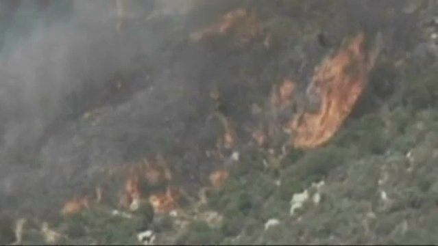 Diecinueve bomberos muertos en un incendio forestal en EEUU - Nineteen firefighters were killed