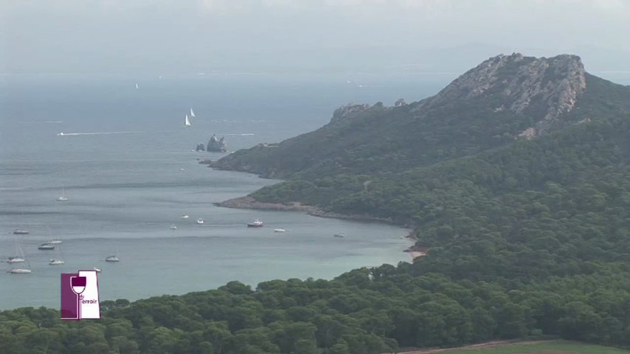Porquerolles: vins d'une île, vins de rêve? Avec le Domaine de la Courtade. Un Verre de Terroir en Provence