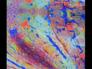 Découvrez les Structures de Moisset : Images, Clips et Musique 🎶