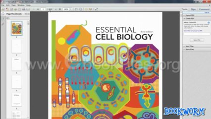 Essential Cell Biology 3rd Edition PDF by Alberts Free Download