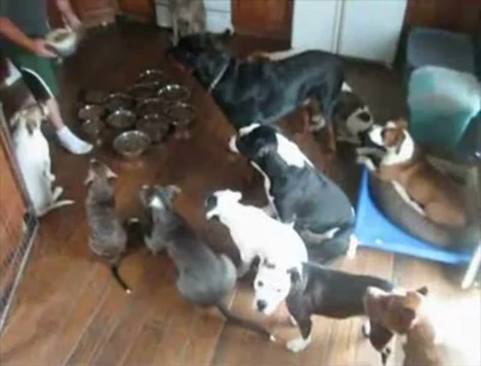 On se tient bien à table