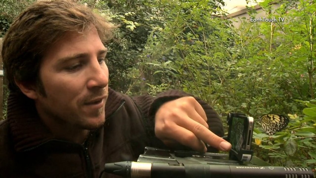Make a nature documentary on your iPhone!