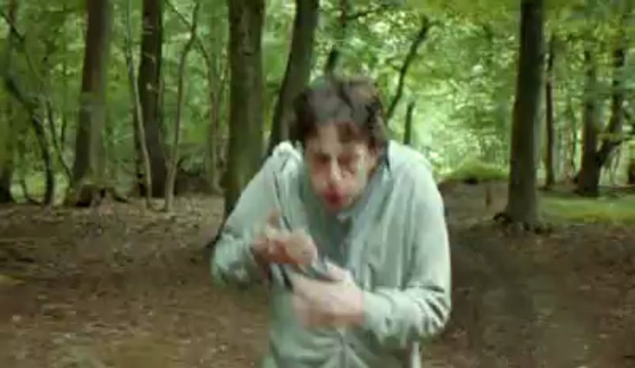 La mouche