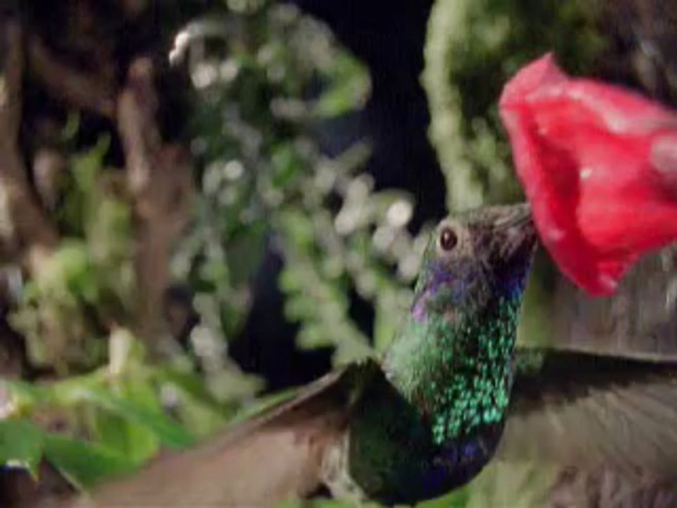 Our Home Planet Earth