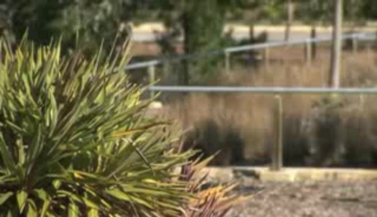 Uniblinds & Security Doors - Roller Shutters & Screen Doors