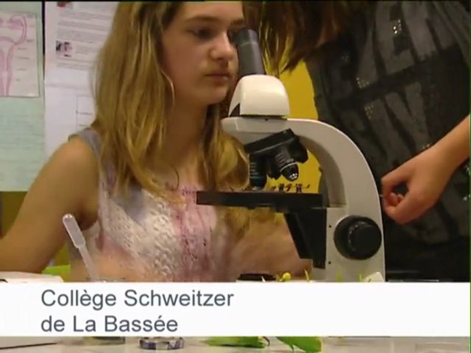 Sciences collège Nord