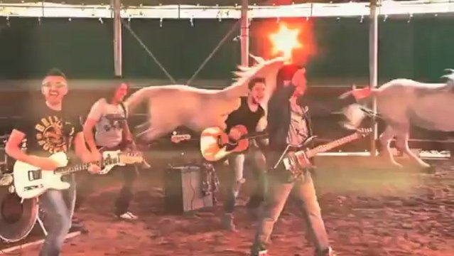 Gatto Panceri Vieni a Vivere in #bstreet