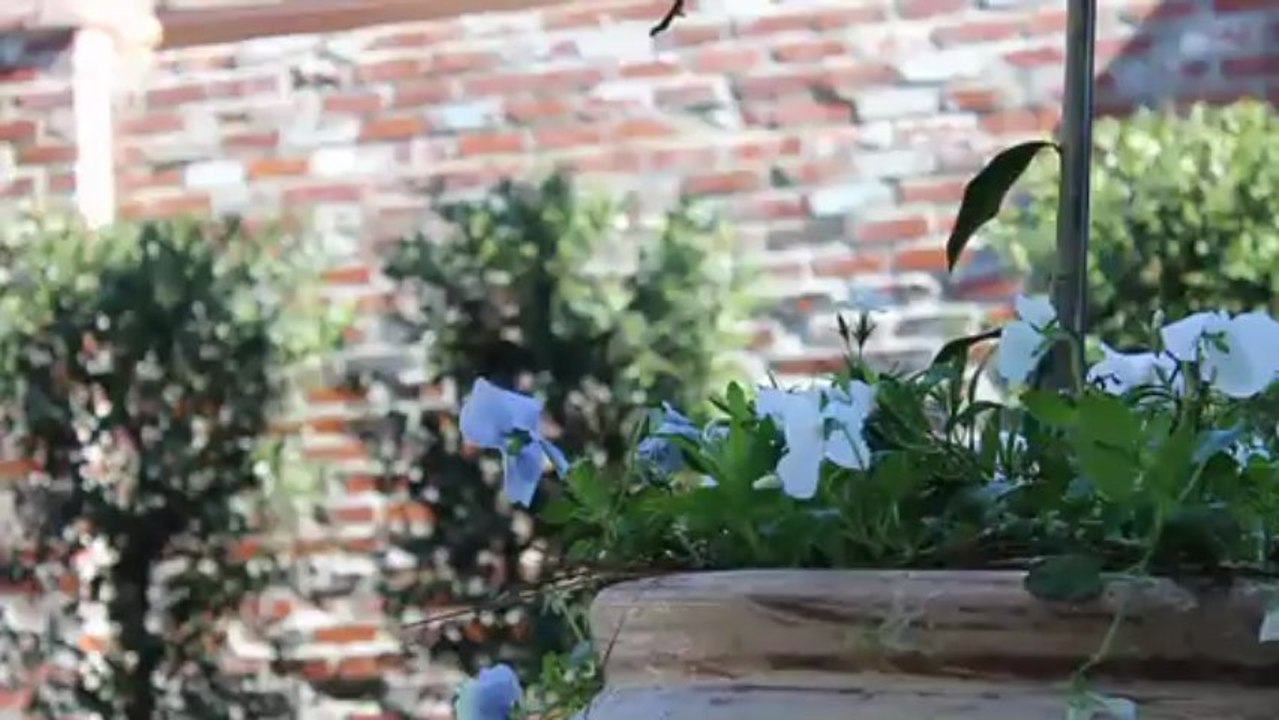 Video Campaign 5 please enjoy this video campaign. This is for testing and only for the developer.